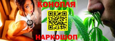 сатива Лесосибирск