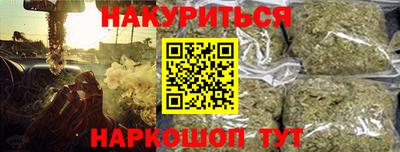 сатива Лесосибирск